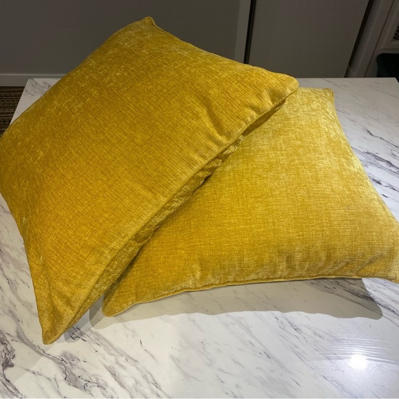 Urban Barn Clooney Cushions Throw pillows in Dijon 24” x 24” set of 2 - Picture 3 of 11